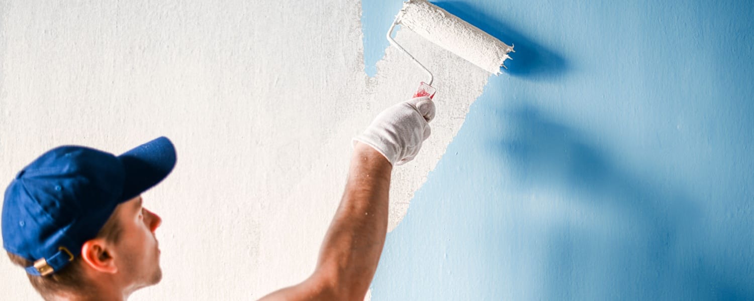 Professional painters st. Charles il
