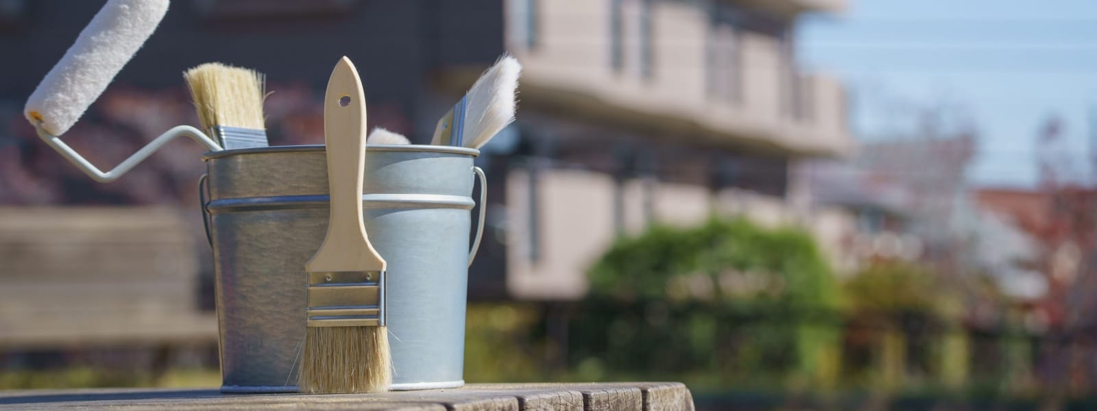 Maple park, il painting